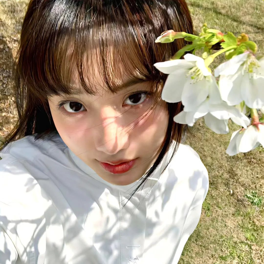 婉君表妹